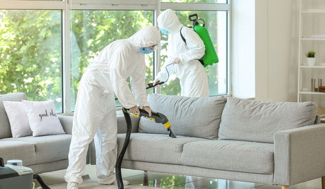 Steri-Clean Franchise Opportunity: Is It Right for You? (And How It Compares to Commercial Cleaning)