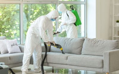 Steri-Clean Franchise Opportunity: Is It Right for You? (And How It Compares to Commercial Cleaning)