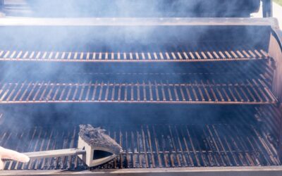 Bar-B-Clean Franchise: Comparing BBQ Cleaning to a Proven Cleaning Business Franchise Model
