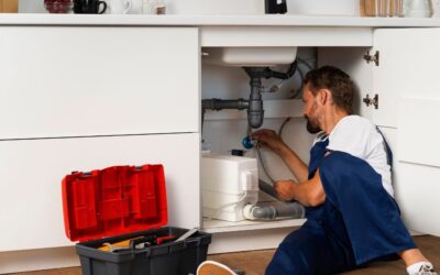 BlueFrog Plumbing & Drain Franchise vs. Cleaning Business Franchise: Which Is the Better Investment?
