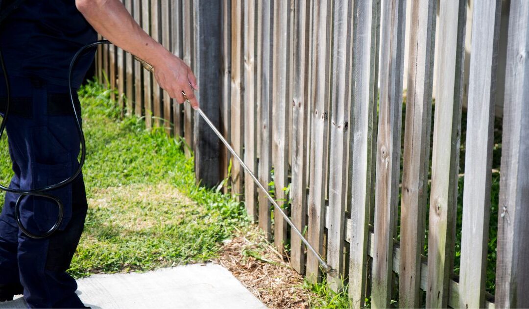 Complete Pest Solutions Franchise: What You Need to Know — and How It Compares to a Cleaning Business Franchise