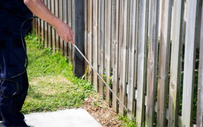 Complete Pest Solutions Franchise: What You Need to Know — and How It Compares to a Cleaning Business Franchise
