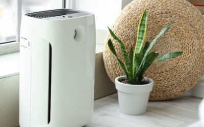 Green Home Solutions Franchise Review: What to Know Before You Buy — and a Cleaner Alternative