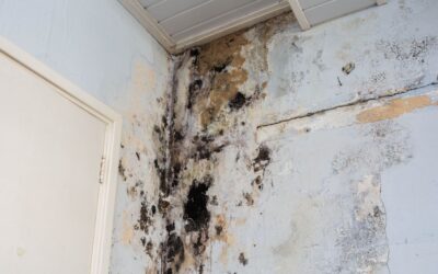 Restoration 1 Franchise Opportunity: Is It Right for You? (And How It Compares to Commercial Cleaning)