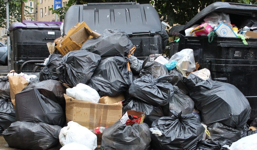 Rubbish Works Franchise Opportunity: Is It Right for You? (And How It Compares to Commercial Cleaning)