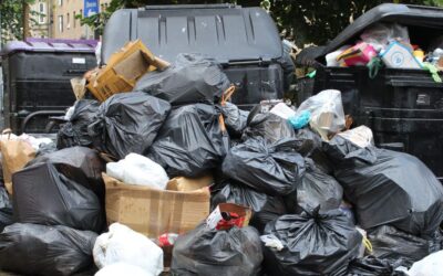 Rubbish Works Franchise Opportunity: Is It Right for You? (And How It Compares to Commercial Cleaning)