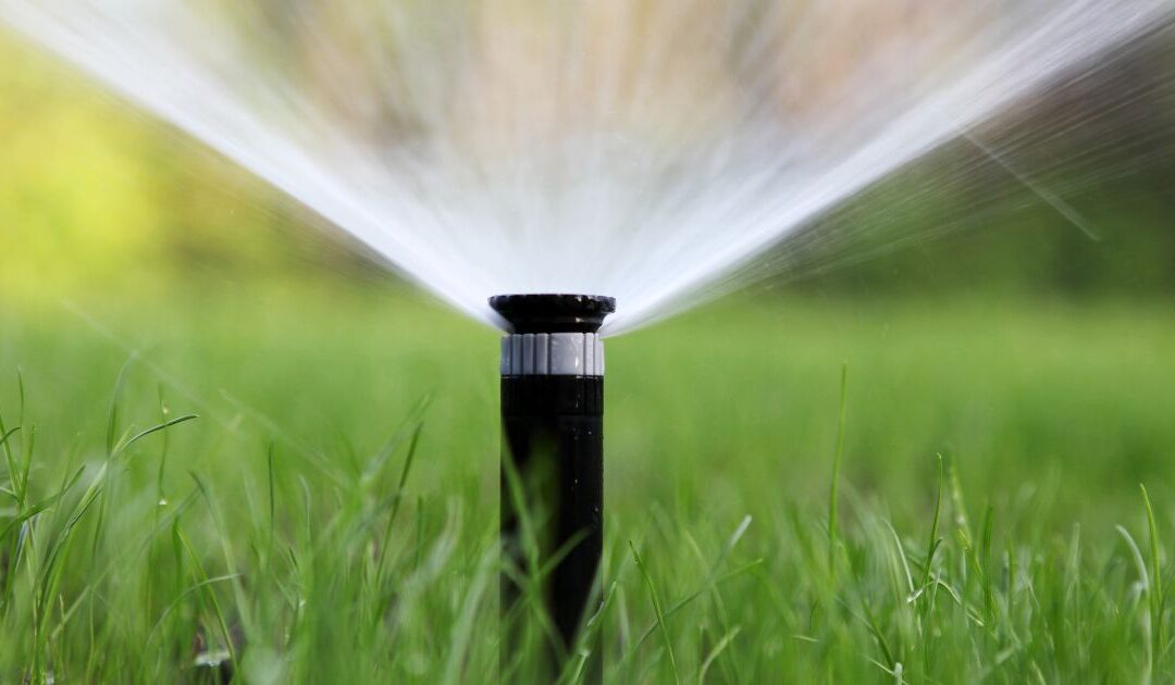 Conserva Irrigation Franchise Review: Outdoor Ownership or Executive Simplicity? A Cleaner Path to Freedom