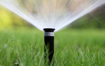 Conserva Irrigation Franchise Review: Outdoor Ownership or Executive Simplicity? A Cleaner Path to Freedom
