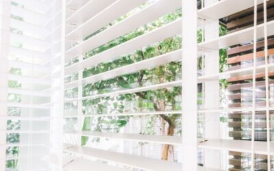 How Gotcha Covered Stacks Up Against the Assett Franchise