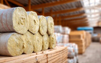 Koala Insulation Franchise vs Assett: Which Business Model Wins?