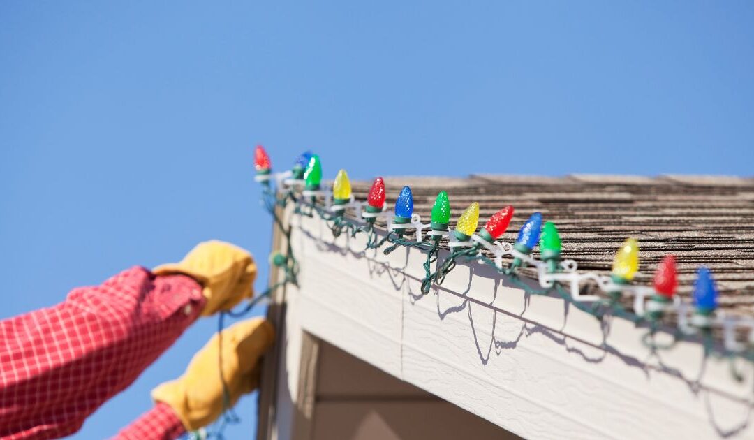 Shine Franchise vs. Assett Franchise: Which Is the Smarter Investment