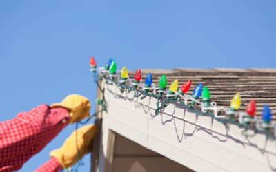 Shine Franchise vs. Assett Franchise: Which Is the Smarter Investment