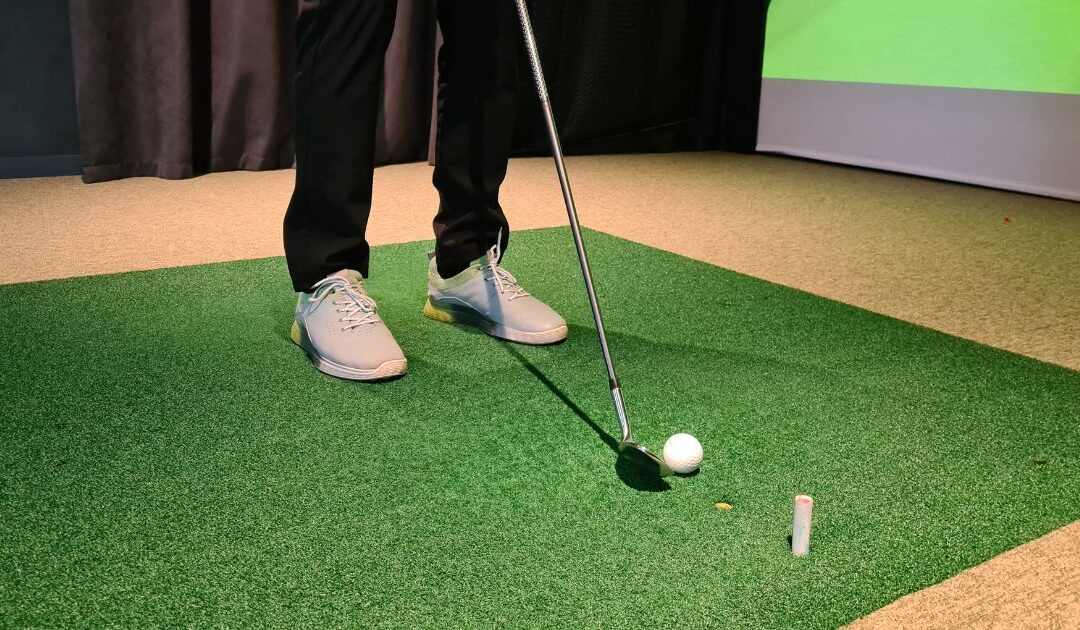 Indoor Golf vs Cleaning: Which Franchise Delivers Real ROI?