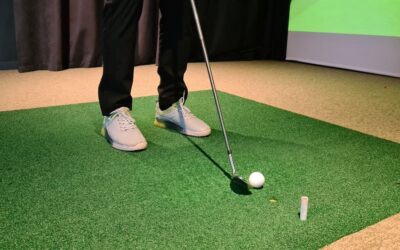 Indoor Golf vs Cleaning: Which Franchise Delivers Real ROI?