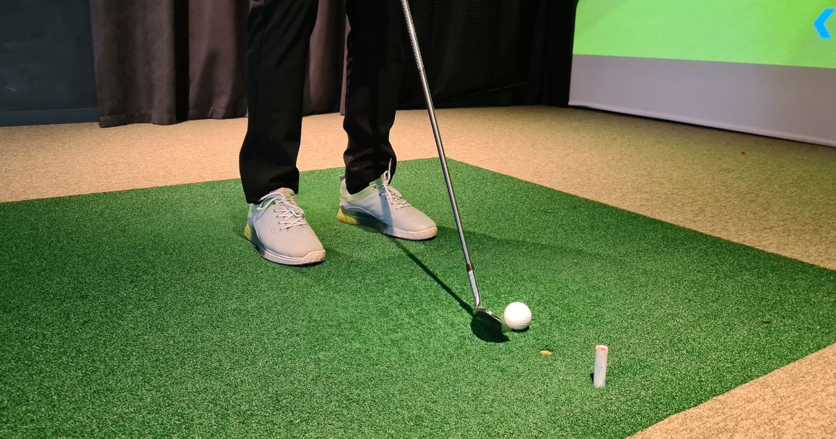 Indoor Golf vs Cleaning: Which Franchise Delivers Real ROI? Indoor Golf vs Cleaning: Which Franchise Delivers Real ROI?
