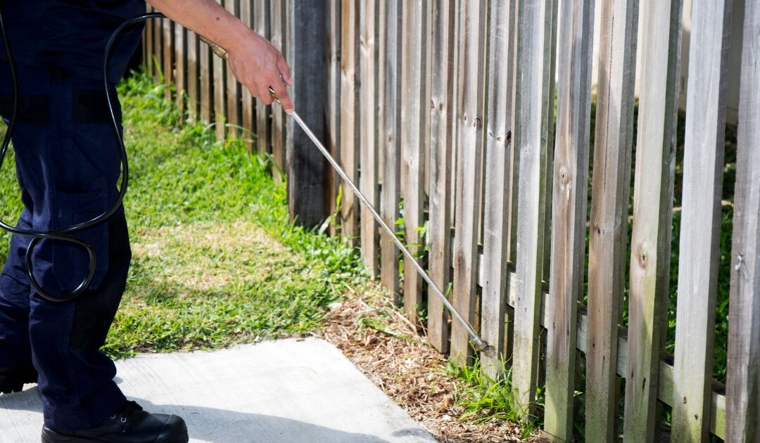 Pestmaster Franchise: How It Stacks Up Against Cleaning Business Ownership