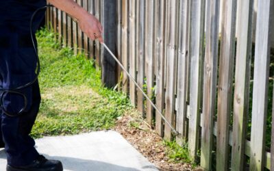 Pestmaster Franchise: How It Stacks Up Against Cleaning Business Ownership