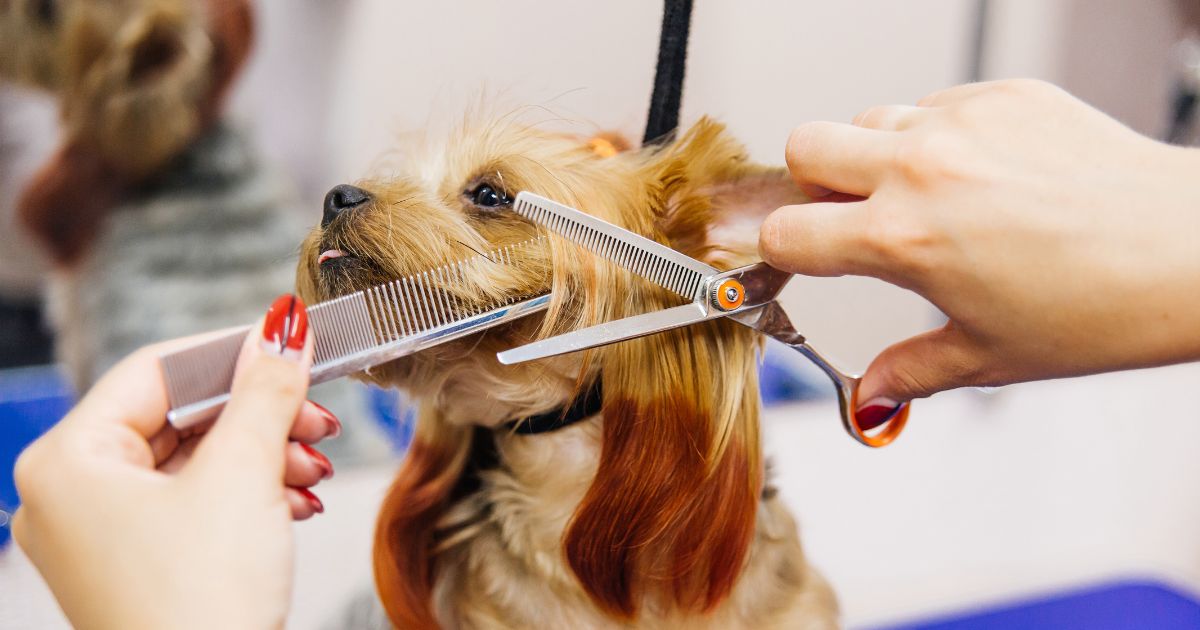 Woof Gang Bakery & Grooming Franchise Woof Gang Bakery & Grooming Franchise