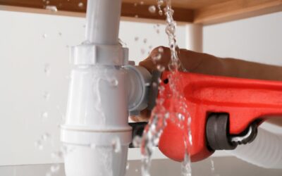 Pipe Dreams vs. Clean Streams: Choosing the Right Franchise Path.