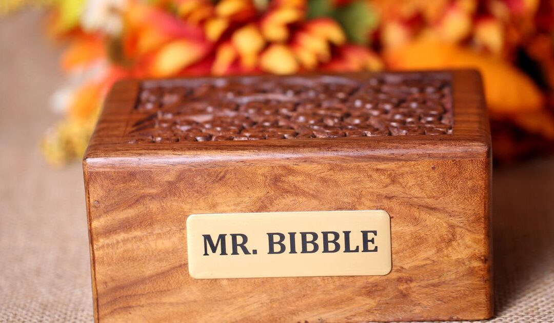 Pet Passages Franchise: Loving Goodbye or Lucrative Hello?