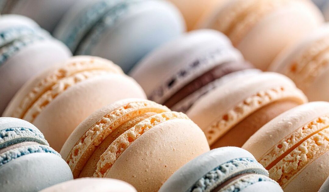 Le Macaron Franchise: A Sweet Concept — or a Risky Retail Bet?