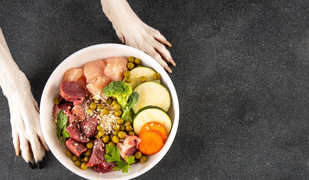 Pet Wants Franchise: Opportunity or Limitation?