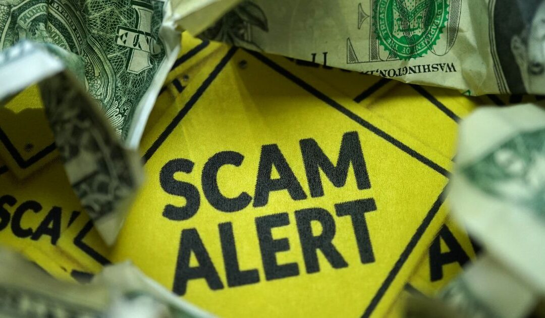 TruBlue Franchise: The Hidden Trade-Offs