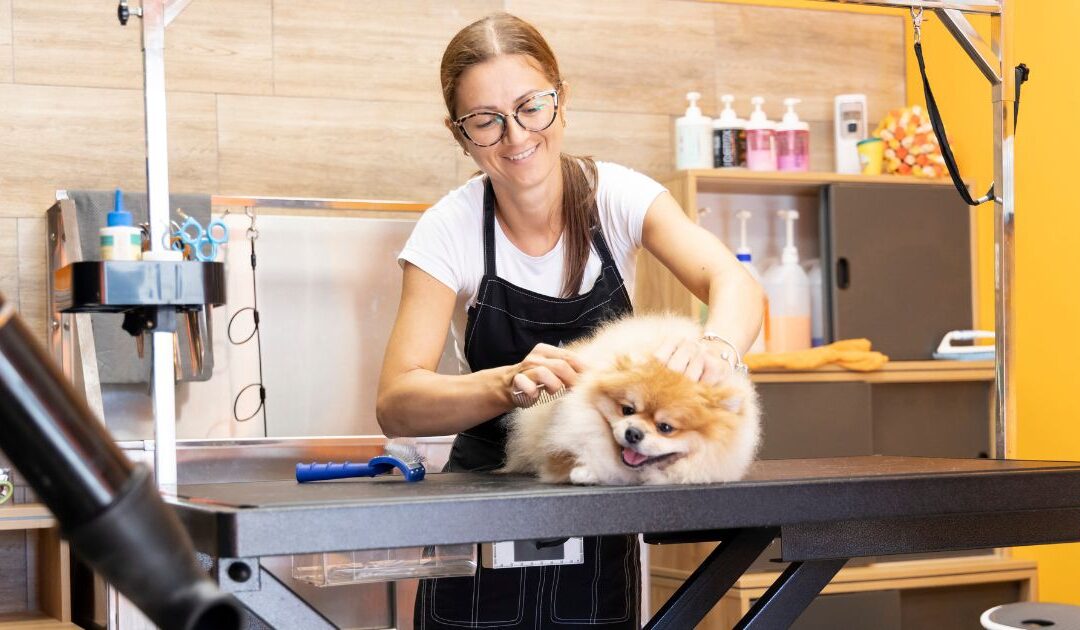 Zoomin Groomin Franchise: Cute Business or Costly Commitment?