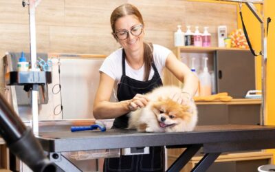 Zoomin Groomin Franchise: Cute Business or Costly Commitment?