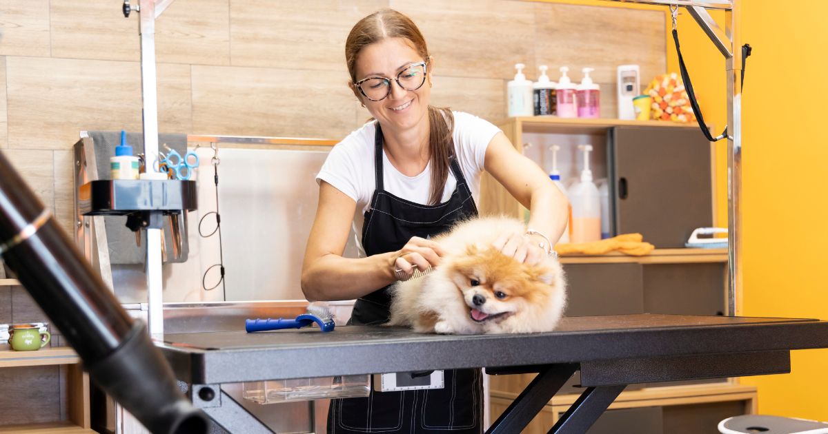 Zoomin Groomin Franchise