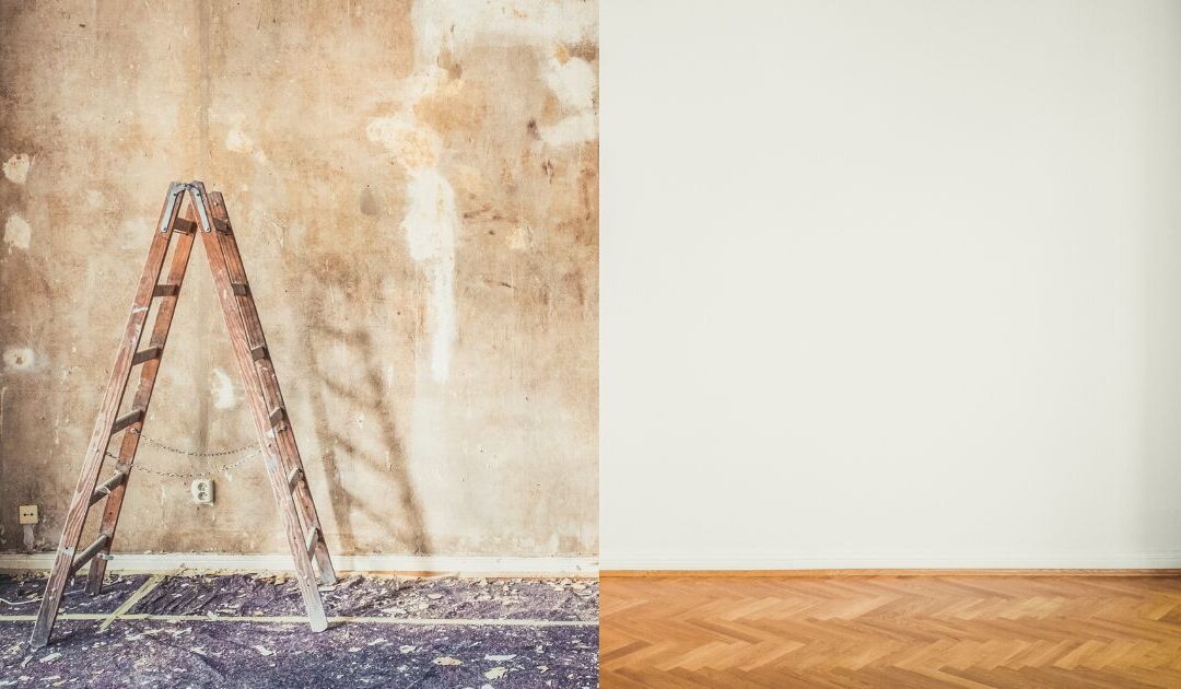 1-800 Packouts Franchise Costs & Reality Check