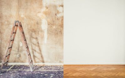 1-800 Packouts Franchise Costs & Reality Check