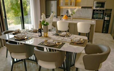 Set the Stage Franchise: Creative Business or Costly Complexity?