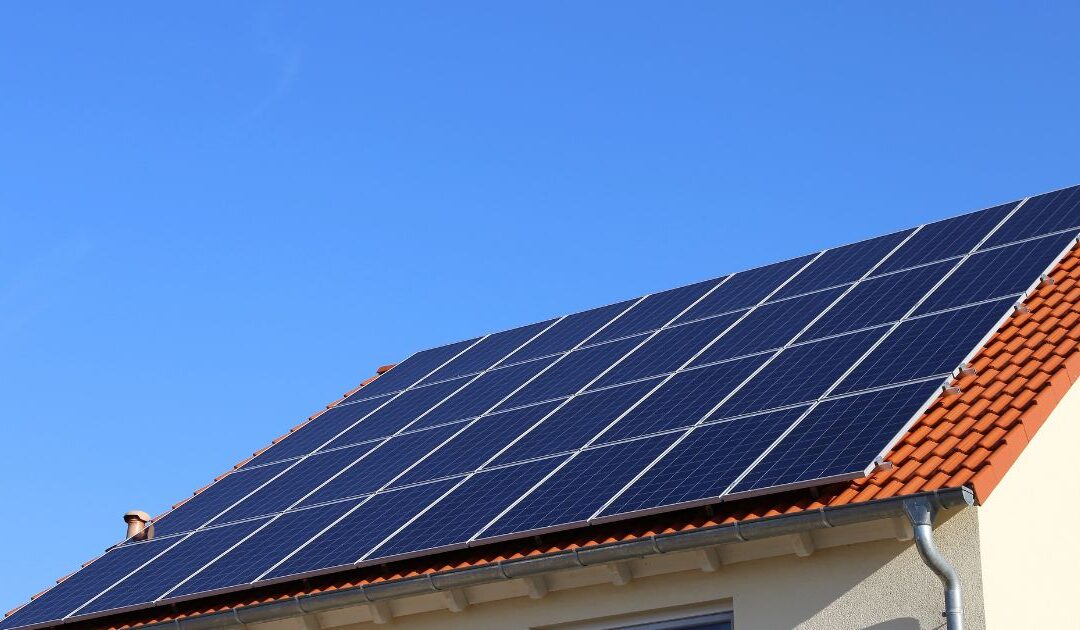 Stardust Solar Franchise Opportunity: High Growth or High Risk?