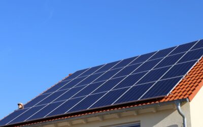 Stardust Solar Franchise Opportunity: High Growth or High Risk?