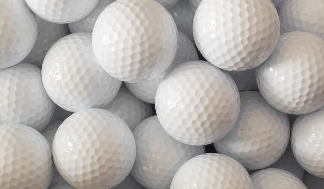 The Back Nine Golf Franchise: Hype or Opportunity?