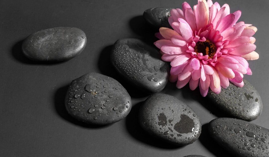 The Reality of Spa Franchises