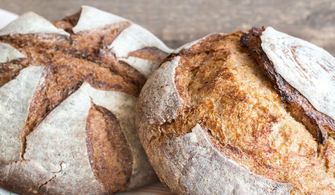 Sourdough Franchise Breakdown