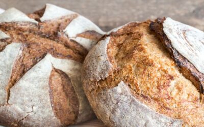 Sourdough Franchise Breakdown