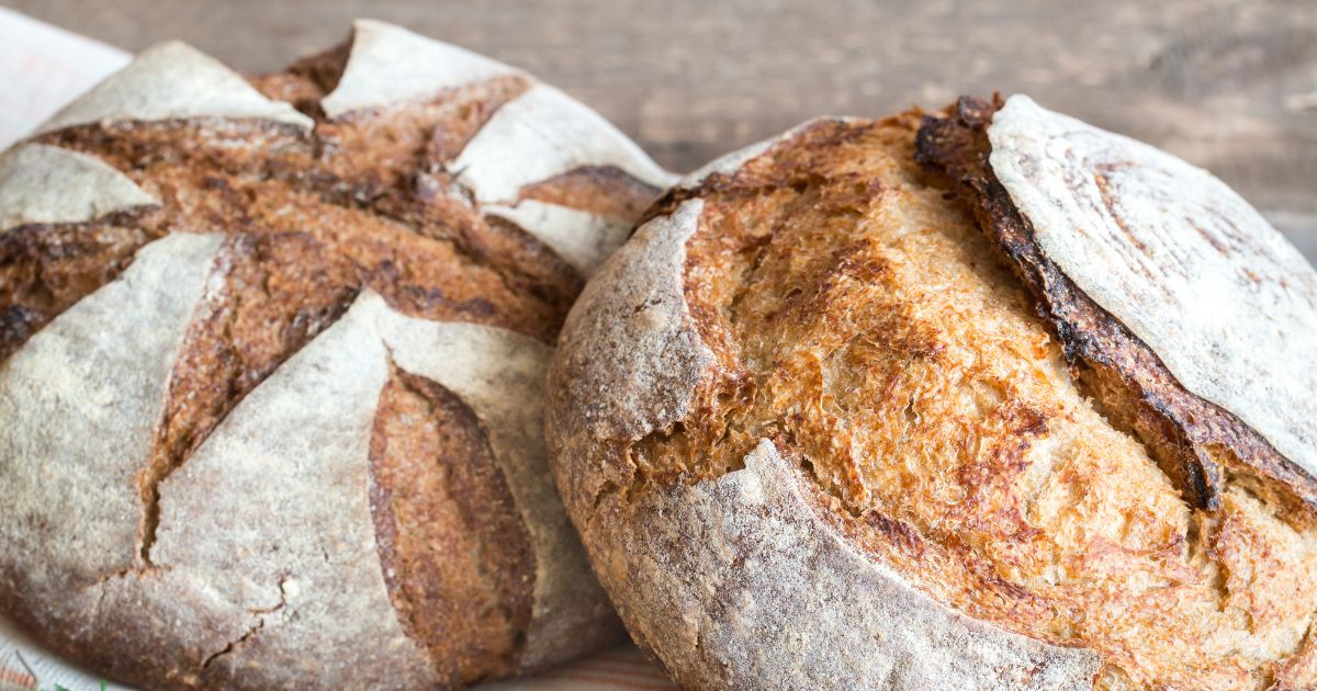 Sourdough & Co Franchise