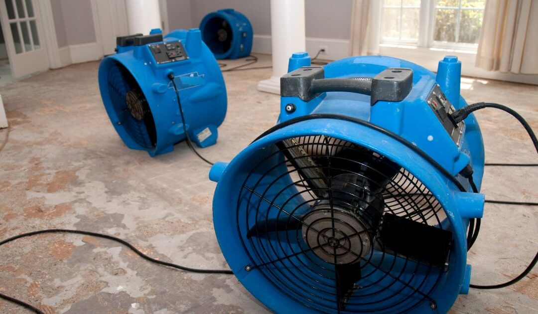 Restoration Hustle vs Recurring Revenue