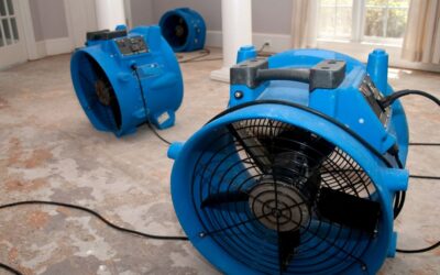 Restoration Hustle vs Recurring Revenue